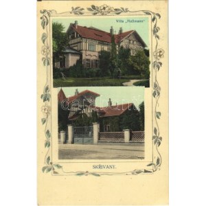 1911 Skrivany, Villa Mallmann. Art Nouveau, floral