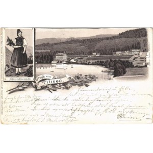 1898 (Vorläufer) Titisee, Schwarzwäldermädchen / Black Forest folklore. Ottmar Zieher Art Nouveau, floral, litho (EK...