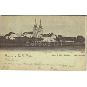 1899 (Vorläufer) Ljubljana, Laibach; Pozdrav z D.M. Polje. Zalozil A. Turk / church