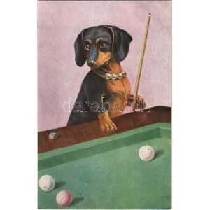 Biliárdozó tacskó / Dachshund dog playing billiards. O.G.Z.-L. 264/1483.