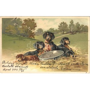 1905 Tacskók / Dachshund dogs. Meissner & Buch Künstler Postkarten Serie 1275. Gute Kameraden...