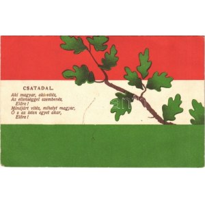 1916 Csatadal Magyar zászlós katonai propaganda. Athenaeum Rt. Petőfi sorozat 98. ...