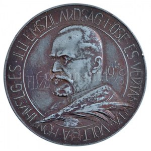 Bődy Kálmán (1885-1956) ~1918. Tisza István bronzozott ón emlékérem. ...