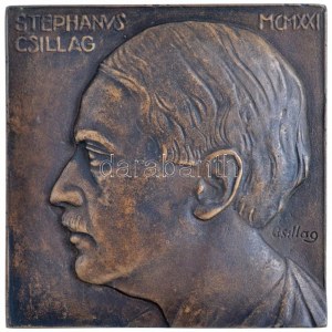 Csillag István (1881-1968) 1921. Stephanus Csillag öntött Br plakett (262,74g/100x100mm) T:1- / Hungary 1921. ...