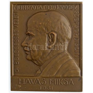 Gárdos Aladár (1878-1944) 1931. Havas Miksa egyoldalas Br plakett, hátlapon LUDVIG E. BUDAPEST gyártói jelzéssel. ...