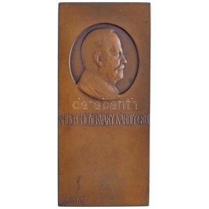 Murányi Gyula (1881-1920) DN Khuen-Héderváry Károly gróf egyoldalas Br plakett (57,63g/35x70mm) T:1- kis ph. ...