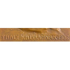 Tóth Gyula (1893-1970) DN A Magyar Történelmi Társulat Thaly Kálmánnak - 1906 egyoldalas Br plakett (85g/47x65mm) T...