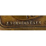 Ausztria 1897. Johann Schwerdtert ábrázoló kétoldalas Br emlékplakett, előlapon az éremművész...