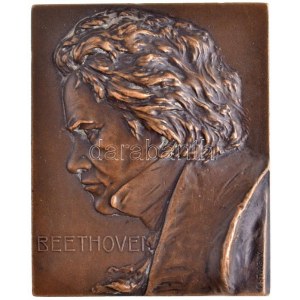 Ausztria ~1910. Beethoven Br plakett kitámasztóval. Szign.: Franz Stiasny (125,92g/65x53mm) T:1-,2 / Austria ~1910. ...