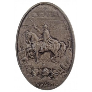 Osztrák-Magyar Monarchia 1916. IV. Károly az uralkodó megkoronázásának emlékérem készült ovális Zn jelvény (45x31mm...
