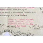 Budapest 1877. Lótenyésztés Emelésére Alakult Részvénytársaság Budapesten névre szóló részvénye 100Ft-ról...