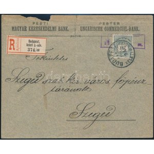 1895 20kr perfin bélyeg ajánlott levélen / 20kr perfin stamp on registered cover