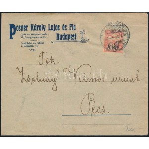 1904 Levél 10f céglyukasztásos bélyeggel / Cover with perfin stamp