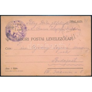 1914 Tábori posta levelezőlap negatív alakulatbélyegzéssel / Field postcard with negative cancellation of corps TP 41...