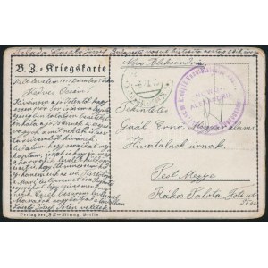 1915 Tábori posta képeslap / Field postcard EP NOWO ALEXANDRIA , 1. sz. m. népfk...