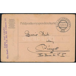 1916 Tábori posta levelezőlap / Field postcard FP 231
