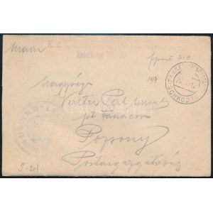 1917 Tábori posta boríték / Field post cover K.u.k. Reserve-Telegraphen-Betriebs-Abteilung No.20. + EP SCHKODRA b...