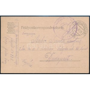 1917 Tábori posta levelezőlap / Field postcard FP 228