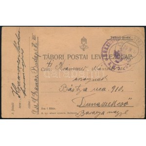 1917 Tábori posta levelezőlap / Field postcard S.M.S. SZ(AMOS)