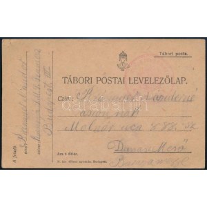 ~1917 Tábori posta levelezőlap / Field postcard S.M.S. SZAMOS