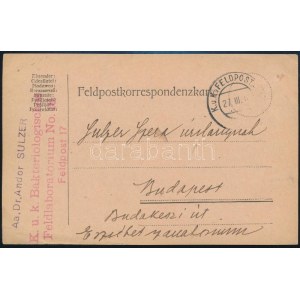 1917 Tábori posta levelezőlap / Field postcard K.u.k. Bakteriologischen Feldlaboratorium No. 16.