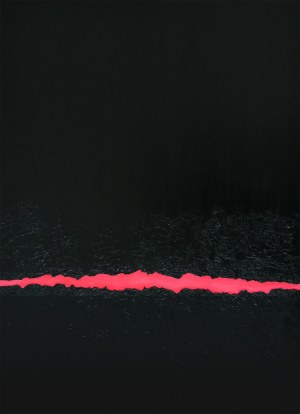 Mariusz Chruściel, Pink Carbon
