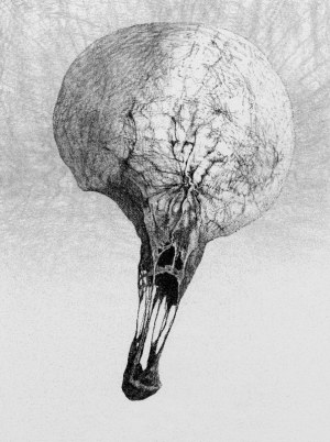 Zdzisław Beksiński, Balon Nevermore - rysunek modyfikowany komputerowo (2000-2004r.)