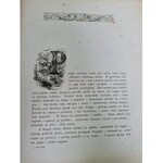 Kraszewski J.I. STARA BAŚŃ Ilustracje Andriolli, Wyd.1879
