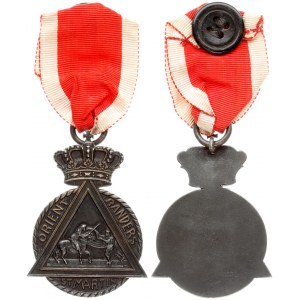 Denmark Medale (1950 )St Martin's Church Randers. Orient Randers St. Martin.  Silver. Weight approx: 23.45 g. Diameter...