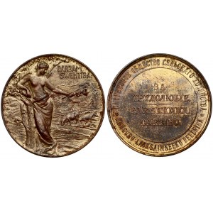 Medal (1900) of the Kauger Society of Agriculture 'For industriousness'. Late 19th ...