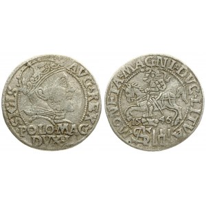 Lithuania 1 Grosz 1546 Vilnius. Sigismund II Augustus (1545-1572). Averse: Crowned bust facing right. Reverse...