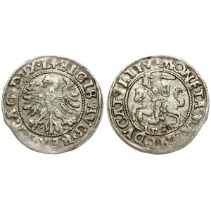 Lithuania 1/2 Grosz 1546 Vilnius. Sigismund II Augustus (1545-1572). Averse Lettering: SIGIS AVG REX PO MAG DVX L...