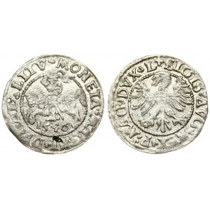 Lithuania 1/2 Grosz 1546 Vilnius. Sigismund II Augustus (1545-1572). Averse Lettering: SIGIS AVG REX PO MAG DVX L...