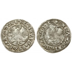 Lithuania 1/2 Grosz 1546 Vilnius. Sigismund II Augustus (1545-1572) - Lithuanian coins 1546 Vilnius...