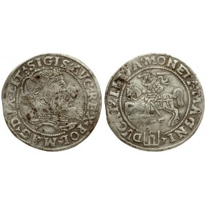 Lithuania 1 Grosz 1555 Vilnius. Sigismund II Augustus (1545-1572). Averse: Crowned bust facing right. Reverse...