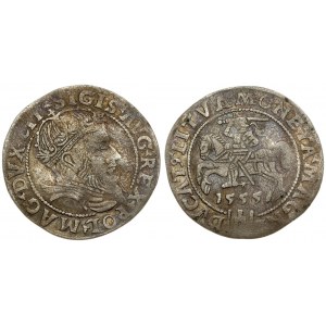Lithuania 1 Grosz 1555 Vilnius. Sigismund II Augustus (1545-1572). Lithuanian coins Vilnius; on the reverse...