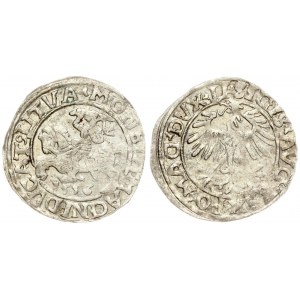 Lithuania 1/2 Grosz 1556 Vilnius. Sigismund II Augustus (1545-1572) - Lithuanian coins; 1/2 grosz 1556; Vilnius...