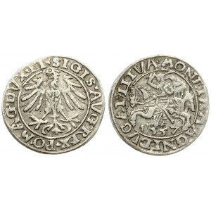 Lithuania 1/2 Grosz 1557 Vilnius. Sigismund II Augustus (1545-1572). Averse Lettering: SIGIS AVG REX PO MAG DVX LI...
