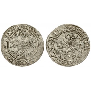 Lithuania 1/2 Grosz 1559 Vilnius. Sigismund II Augustus (1545-1572) Averse Lettering: SIGIS AVG REX PO MAG DVX LI...