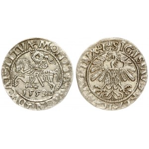 Lithuania 1/2 Grosz 1559 Vilnius. Sigismund II Augustus (1545-1572) - Lithuanian coins; 1/2 grosz 1559; Vilnius...