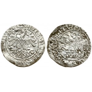 Lithuania 1/2 Grosz 1559 Vilnius. Sigismund II Augustus (1545-1572). Averse Lettering: SIGIS AVG REX PO MAG DVX LI...