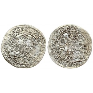 Lithuania 1/2 Grosz 1560 Vilnius. Sigismund II Augustus (1545-1572). Averse Lettering: SIGIS AVG REX PO MAG DVX LI...