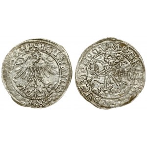 Lithuania 1/2 Grosz 1560 Vilnius. Sigismund II Augustus (1545-1572). Averse Lettering: SIGIS AVG REX PO MAG DVX L...