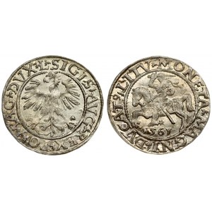 Lithuania 1/2 Grosz 1561 Vilnius. Sigismund II Augustus (1545-1572). Averse Lettering: SIGIS AVG REX PO MAG DVX L...