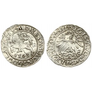 Lithuania 1/2 Grosz 1563 Vilnius. Sigismund II Augustus (1545-1572). Averse Lettering: SIGIS AVG REX PO MAG DVX L...