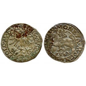 Lithuania 1/2 Grosz 1563 Vilnius. Sigismund II Augustus (1545-1572). Averse Lettering: SIGIS AVG REX POLO M D LI...