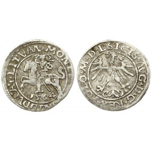 Lithuania 1/2 Grosz 1564 Vilnius. Sigismund II Augustus (1545-1572). Averse Lettering: SIGIS AVG REX PO MAG DVX L...