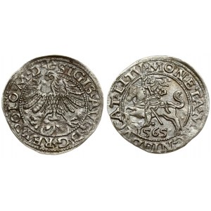 Lithuania 1/2 Grosz 1565 Vilnius. Sigismund II Augustus (1545-1572). Averse Lettering: SIGIS AVG REX PO MAG DVX L...