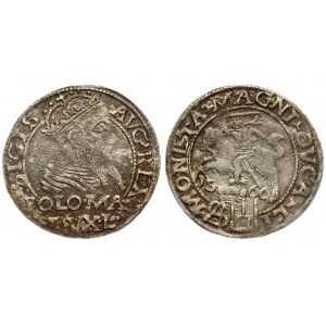 Lithuania 1 Grosz 1566 Tykocin. Sigismund II Augustus (1545-1572). Averse: Crowned bust facing right. Reverse...
