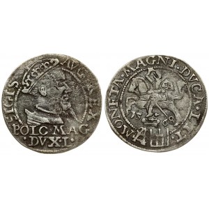 Lithuania 1 Grosz 1568 Tykocin. Sigismund II Augustus (1545-1572). Averse: Crowned bust facing right. Reverse...